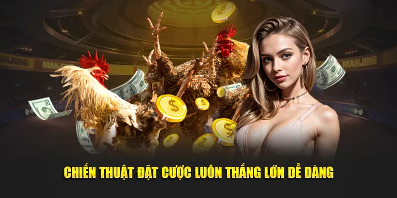 Chiến thuật đặt cược luôn thắng lớn dễ dàng